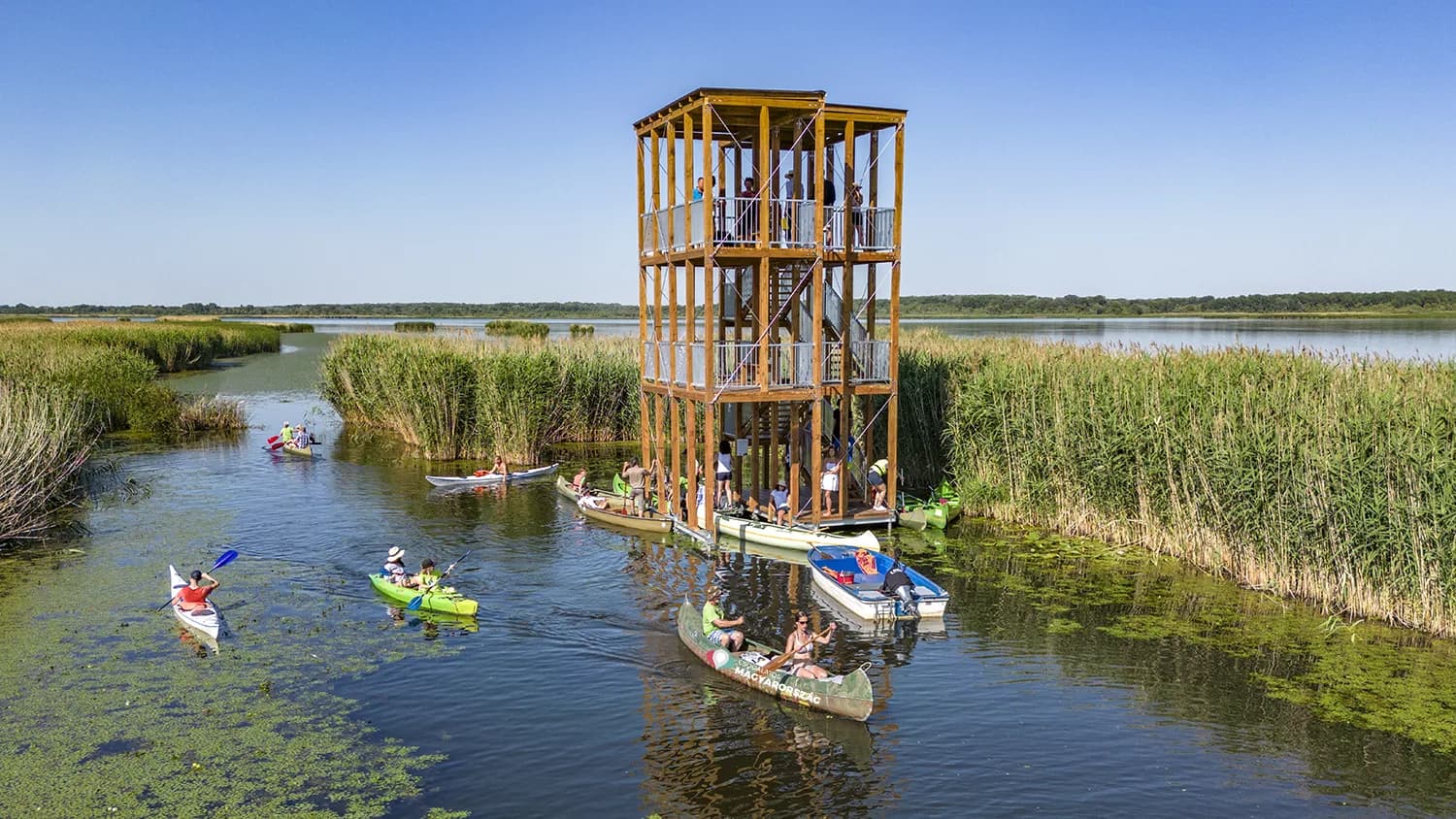 Kilátó a Tisza-tó felett – panoráma a nádasra