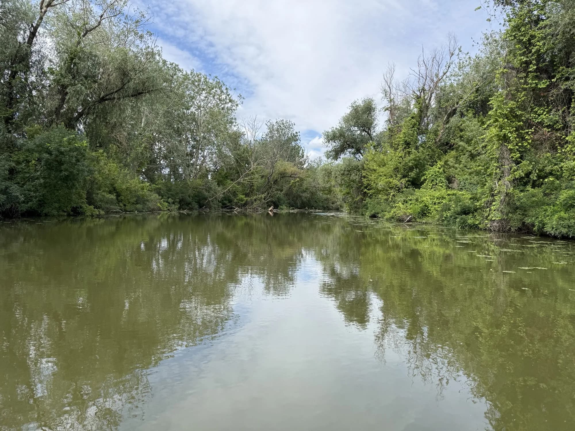 Rejtett víz a Tisza-tavon – ősi holtág